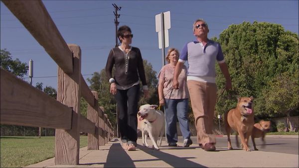 Dog Whisperer with Cesar Millan - Beagle Mania
