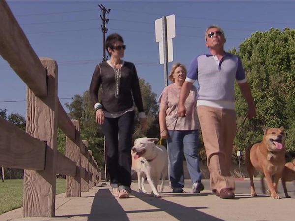Dog Whisperer with Cesar Millan - Beagle Mania