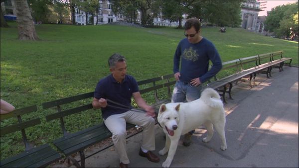 Dog Whisperer with Cesar Millan - Big Biters