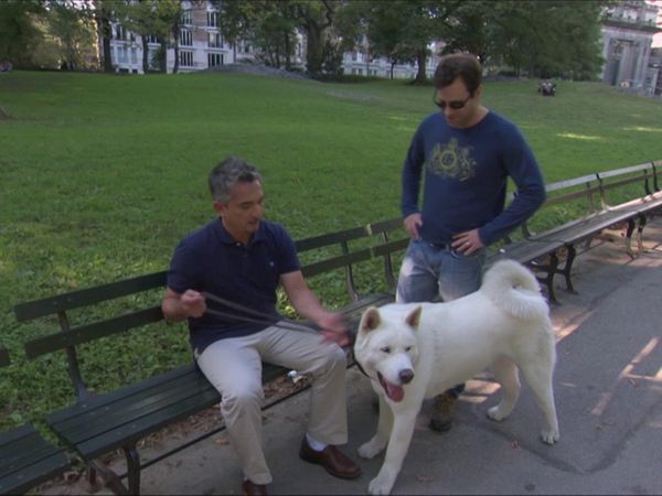 Dog Whisperer with Cesar Millan - Big Biters