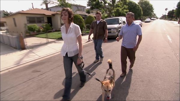 Dog Whisperer with Cesar Millan - Lawnmower Love