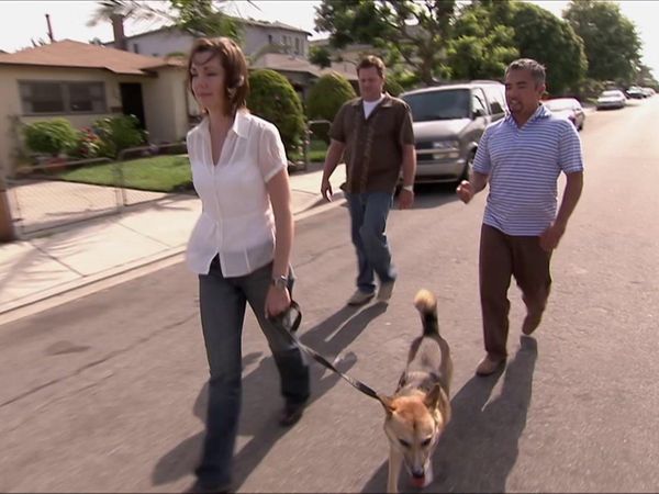 Dog Whisperer with Cesar Millan - Lawnmower Love