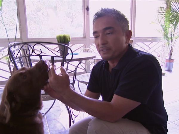 Dog Whisperer with Cesar Millan - Blind Rage