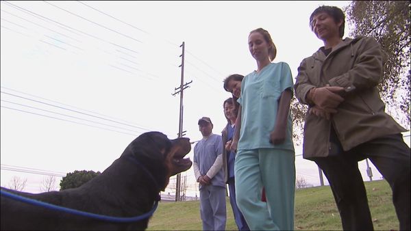 Dog Whisperer with Cesar Millan - Rescue Rufus!