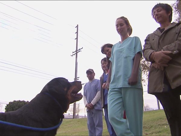 Dog Whisperer with Cesar Millan - Rescue Rufus!