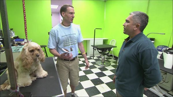 Dog Whisperer with Cesar Millan - Bad Hair Day