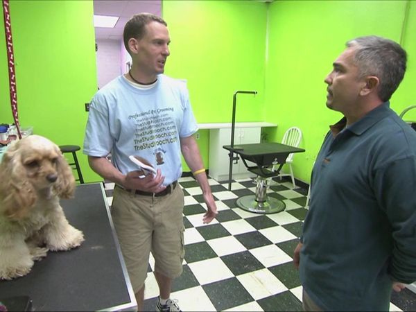 Dog Whisperer with Cesar Millan - Bad Hair Day