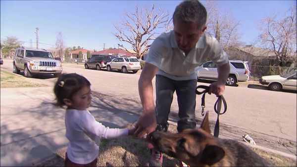 Dog Whisperer with Cesar Millan - Collie Crisis