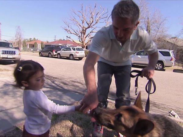 Dog Whisperer with Cesar Millan - Collie Crisis