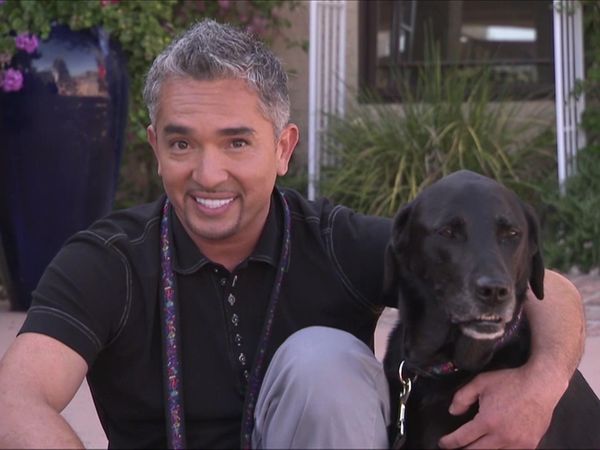 Dog Whisperer with Cesar Millan - Dueling Pit Bulls