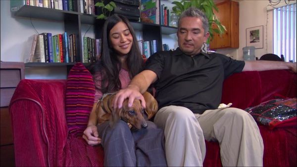 Dog Whisperer with Cesar Millan - Turf Wars