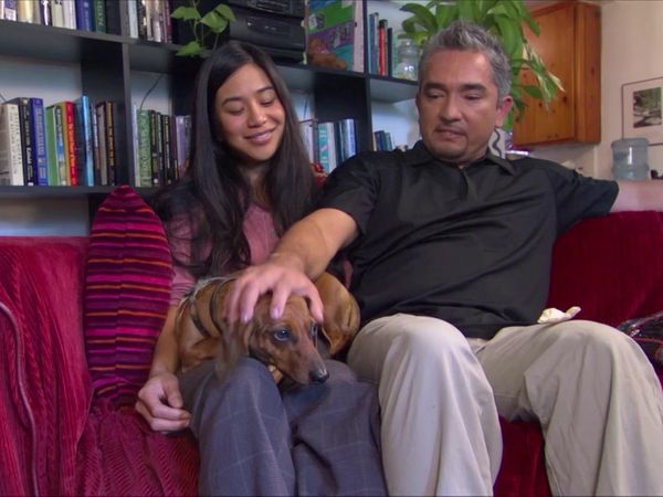 Dog Whisperer with Cesar Millan - Turf Wars