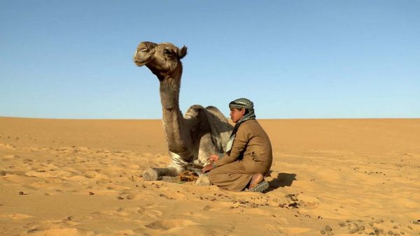 The Egyptians - The Desert