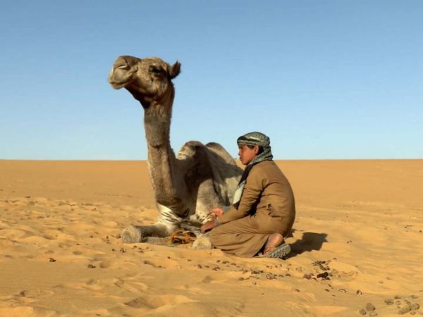 The Egyptians - The Desert