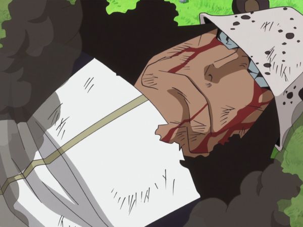One Piece - A SURPRISING FACT! THE MAN WHO GUARDED THE SUNNY!