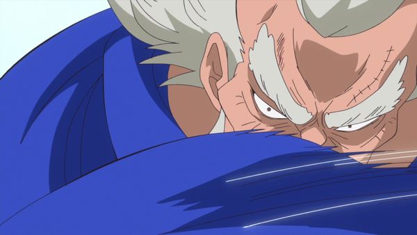 One Piece - A Noble Family! The True Identity of Doflamingo!