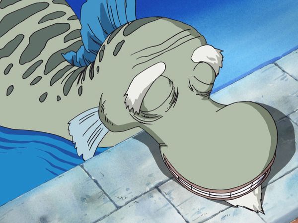 One Piece - A girl in search of her yagara! Great search in the city of water!