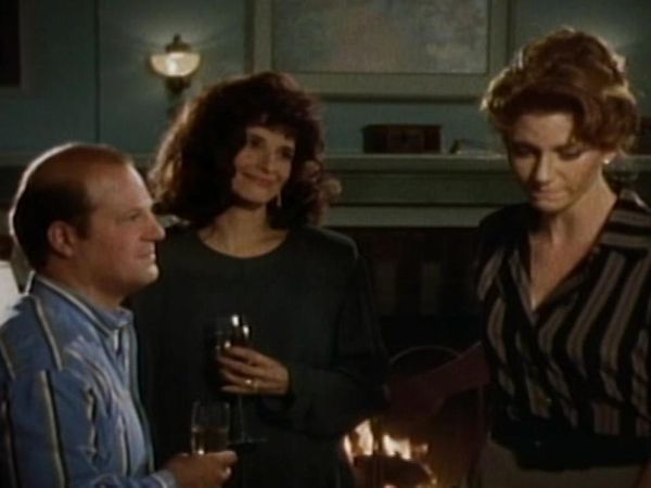 The Commish - The Commish: S4 E2 - Against The Wind, Part 2