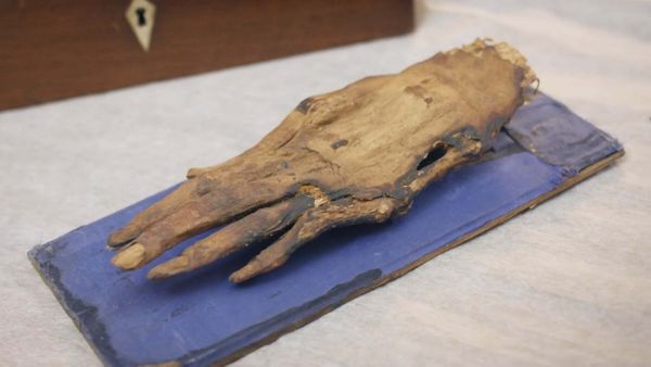 The Egyptians - Cleopatra: The Mystery of the Mummified Hand
