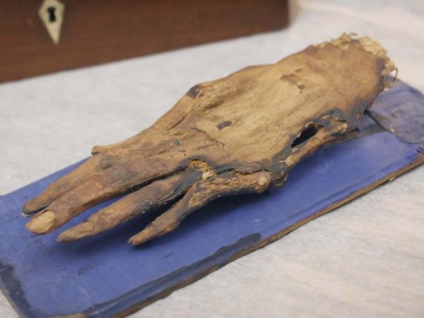 The Egyptians - Cleopatra: The Mystery of the Mummified Hand