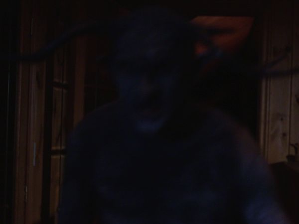 Haunted Case Files - Chilling Encounters