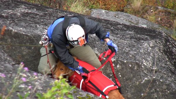 Callout Search And Rescue - Dog Rescue/Rescue Dogs