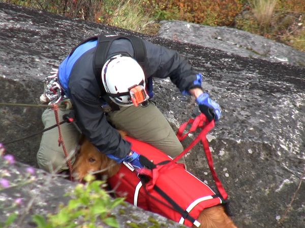 Callout Search And Rescue - Dog Rescue/Rescue Dogs