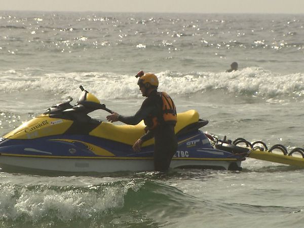 Callout Search And Rescue - Bears and Surfers