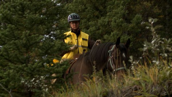 Callout Search And Rescue - Sasquatches and Horses