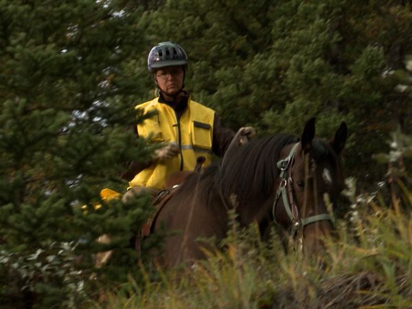 Callout Search And Rescue - Sasquatches and Horses