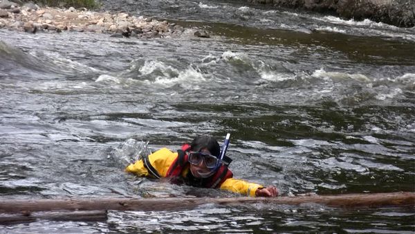 Callout Search And Rescue - Arrested/Jumped