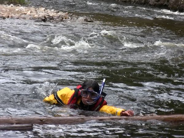Callout Search And Rescue - Arrested/Jumped