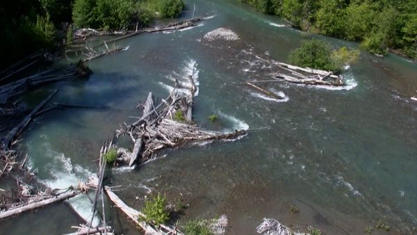 Callout Search And Rescue - Tricks and Tragedy