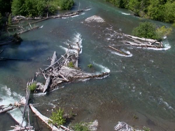 Callout Search And Rescue - Tricks and Tragedy