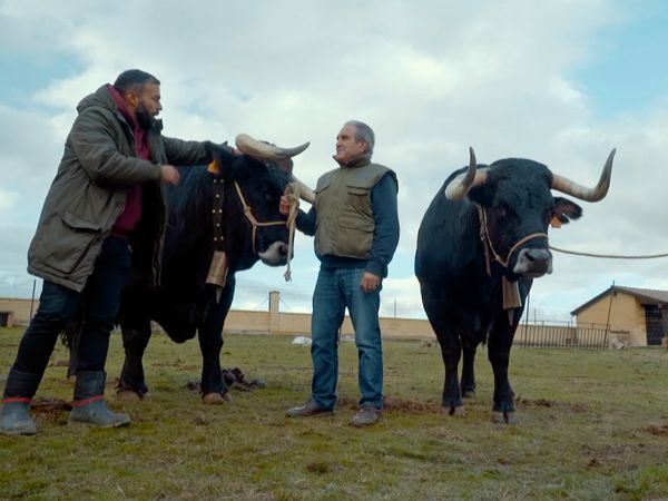 Las Rutas de Ambrosio - La Comarca de La Janda (Cadiz)