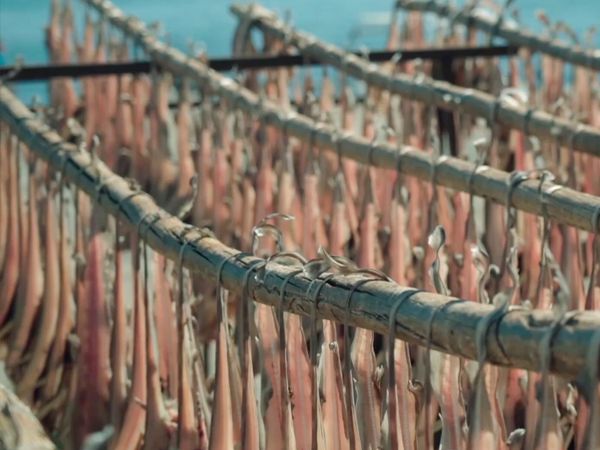 Las Rutas de Ambrosio - Manchuela: Entre El Cielo y El Infierno