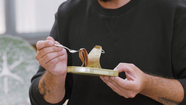 Cocina al Punto - Anchoa de Santoña
