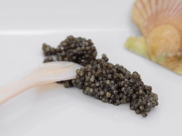 Cocina al Punto - El Caviar de Riofrio