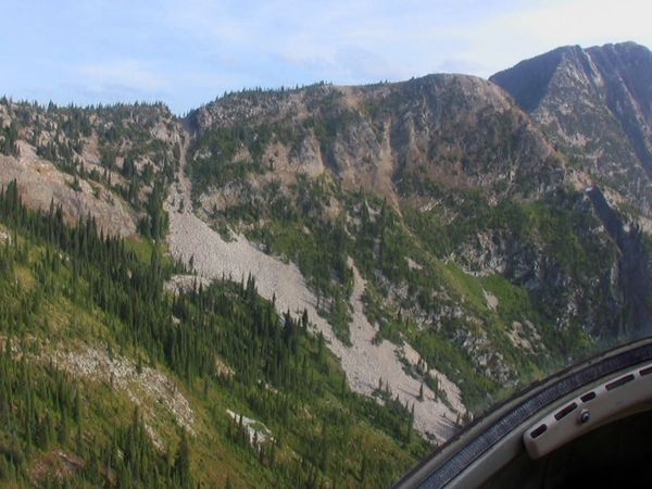 Callout Search And Rescue - Bear Threat/Command Post Tech