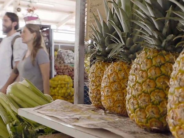 Comerse el Mundo - Ciudad de Panamá