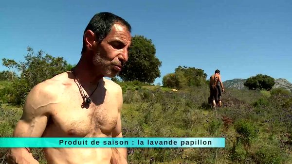 A Table Terroir - À Table Terroir - Épisode 73