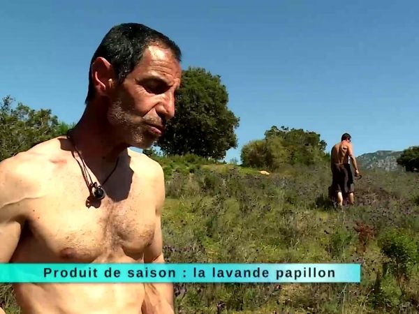 A Table Terroir - À Table Terroir - Épisode 73