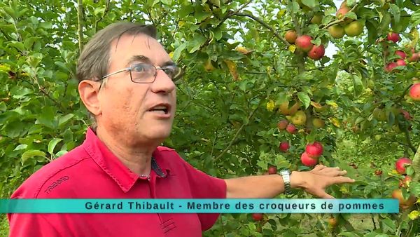 A Table Terroir - À Table Terroir - Épisode 21