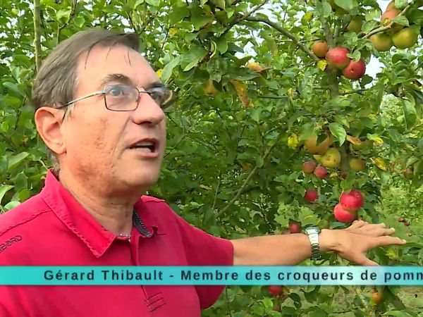 A Table Terroir - À Table Terroir - Épisode 21