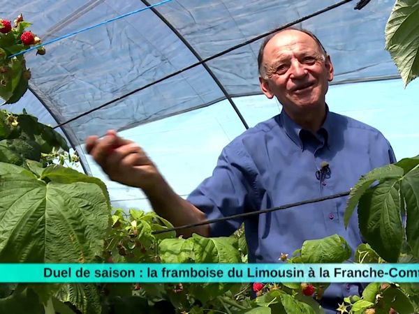 A Table Terroir - À Table Terroir - Épisode 81