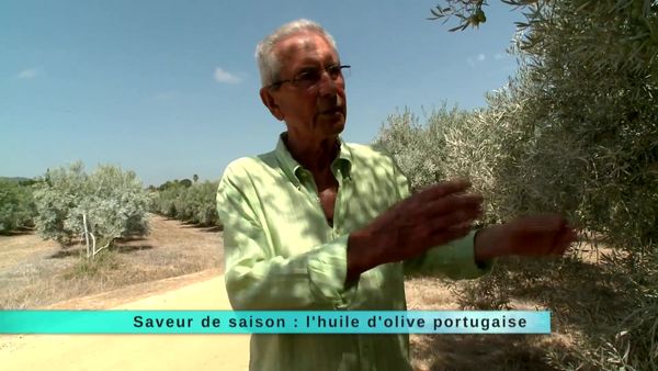 A Table Terroir - À Table Terroir - Épisode 17