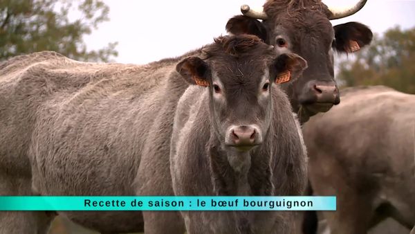 A Table Gastronomie - À Table Gastronomie - Épisode 150