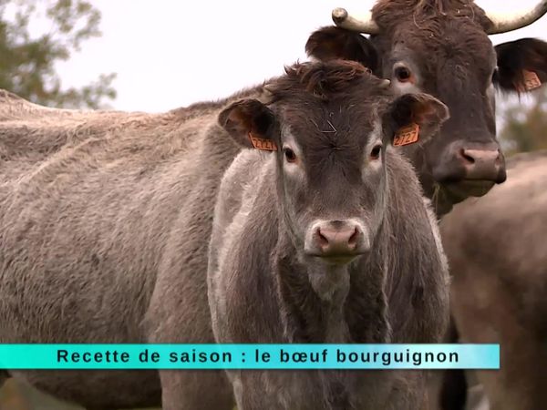 A Table Gastronomie - À Table Gastronomie - Épisode 150