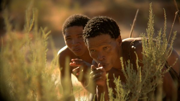 África más salvaje - Okavango: agua en el desierto