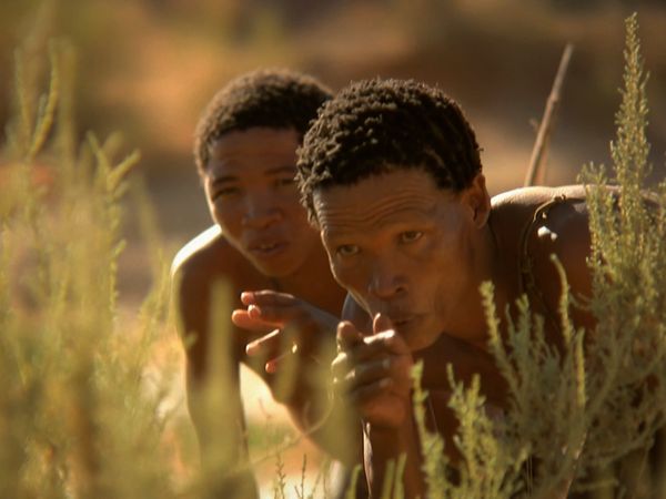 África más salvaje - Okavango: agua en el desierto